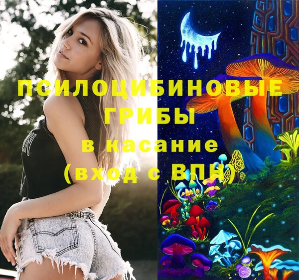 гидропоника Белокуриха