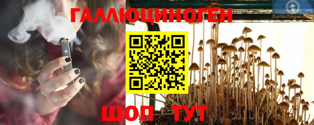 Галлюциногенные грибы MAGIC MUSHROOMS Бузулук