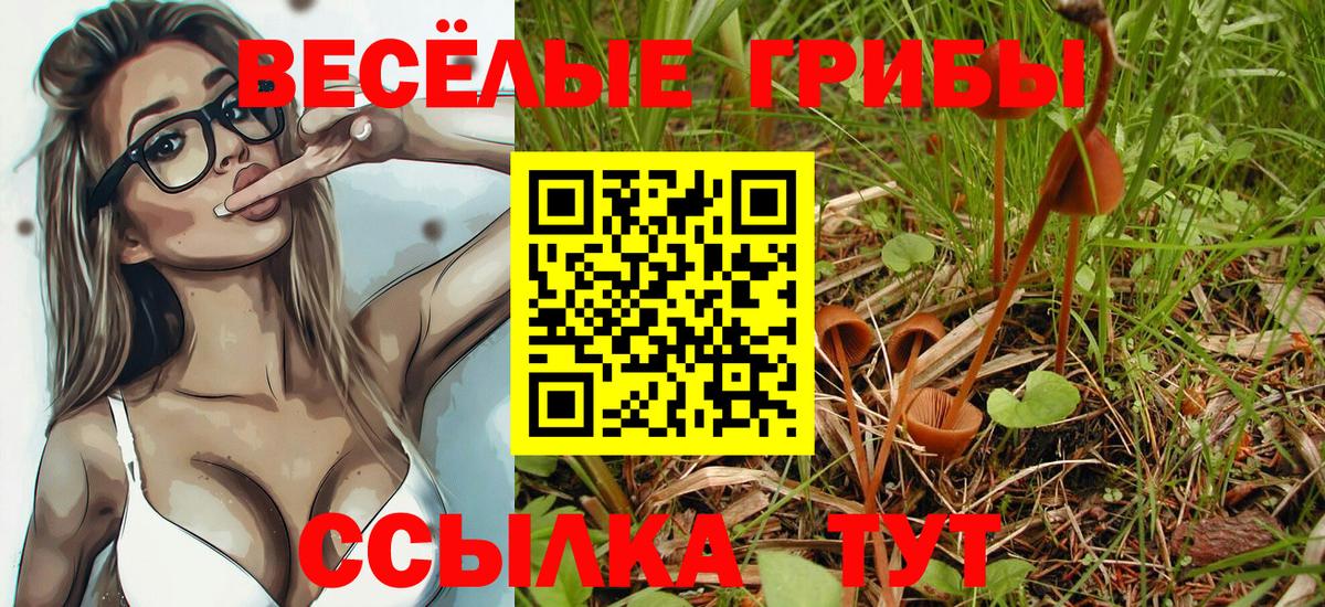 купить наркотик  Вход с VPN  Бузулук  Галлюциногенные грибы Psilocybine cubensis  Псилоцибиновые грибы MAGIC MUSHROOMS 